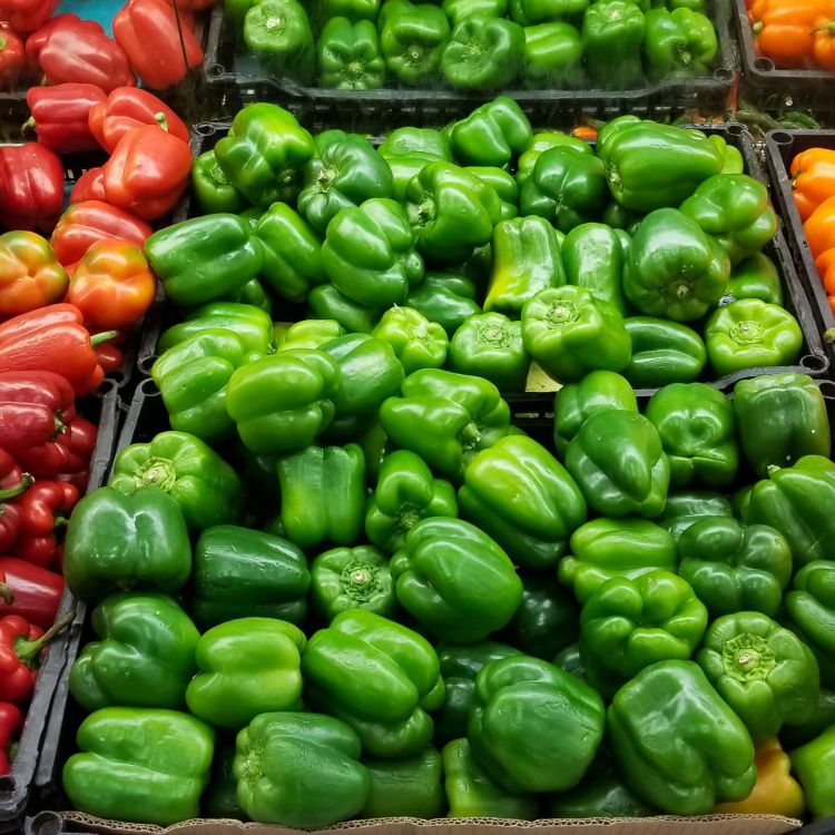 Fresh Peppers